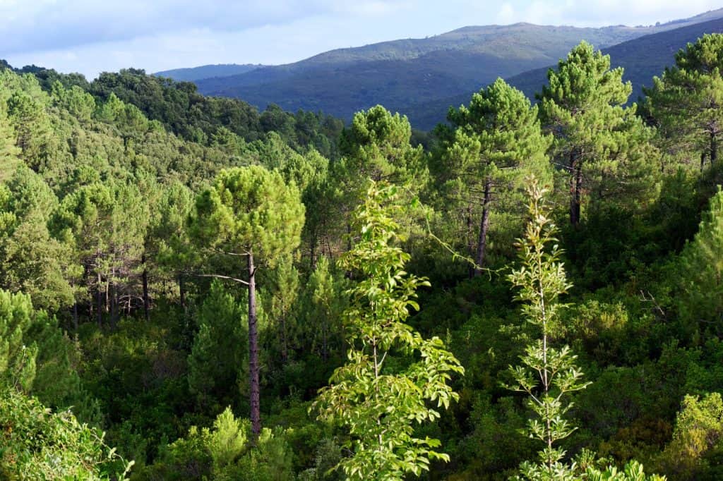 Staglands Wildlife Reserve
