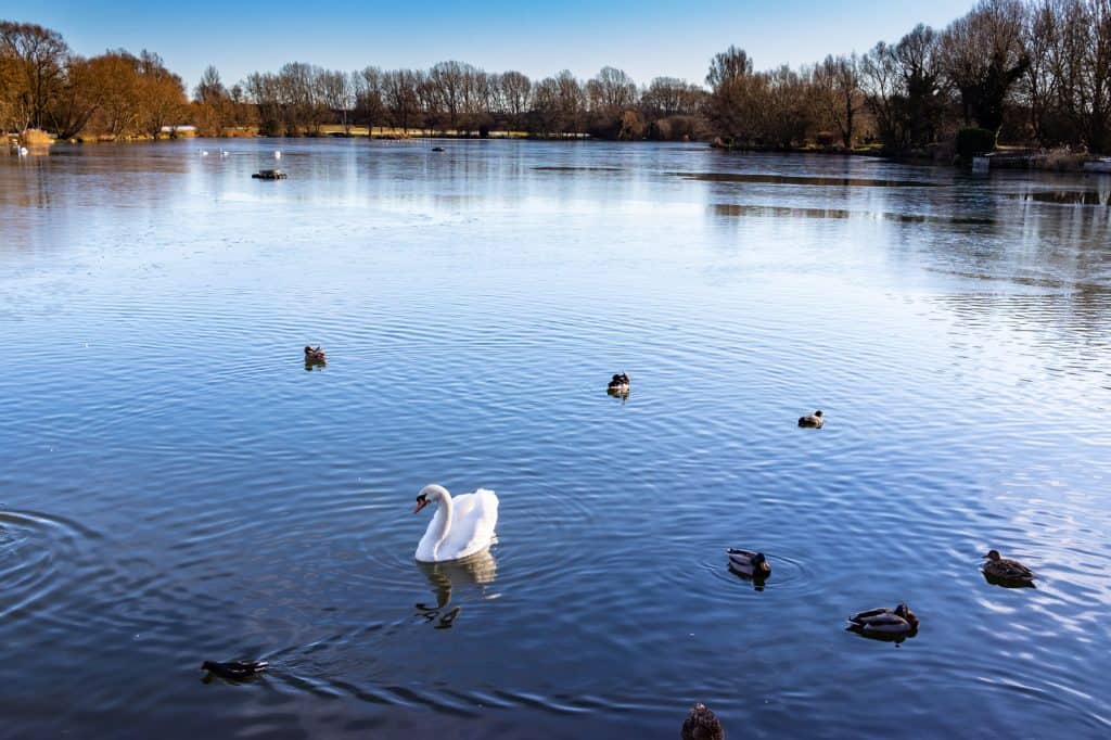 Stanborough Park