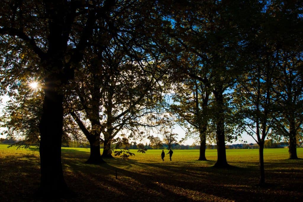 Parque Stockwood