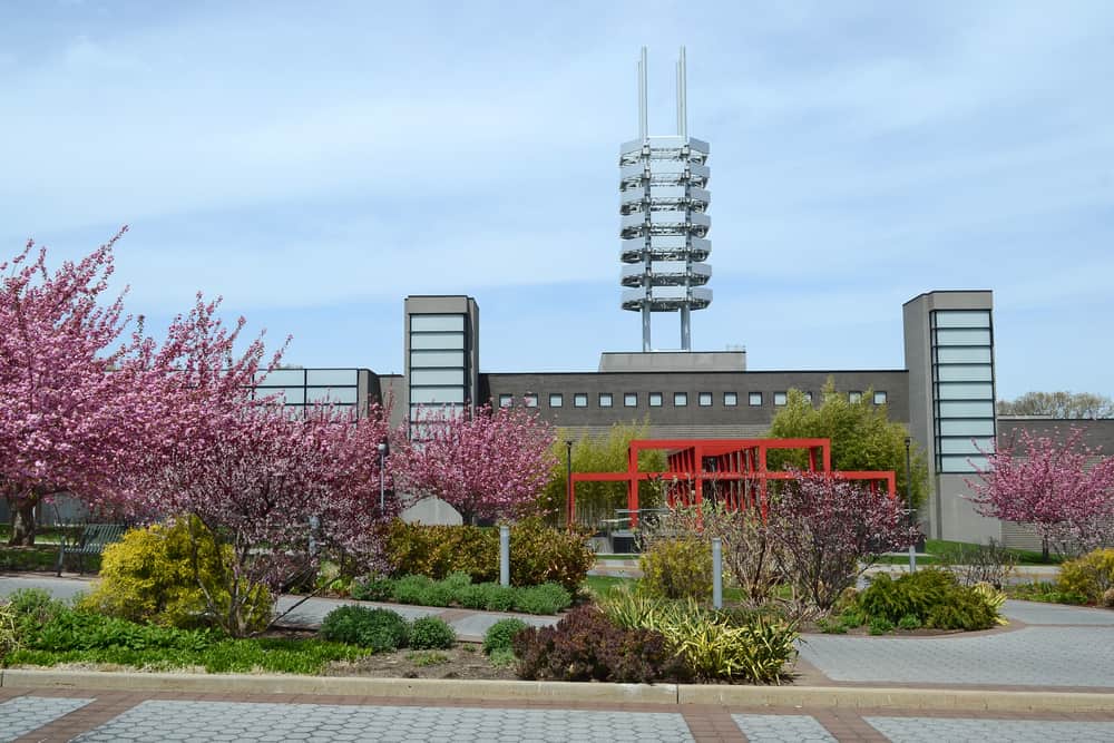 Intensive English Center (IEC) – Stony Brook University