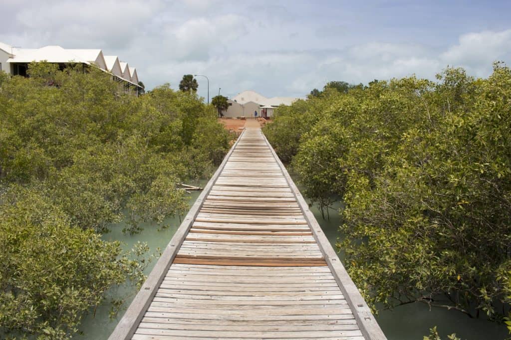 Streeter's Jetty