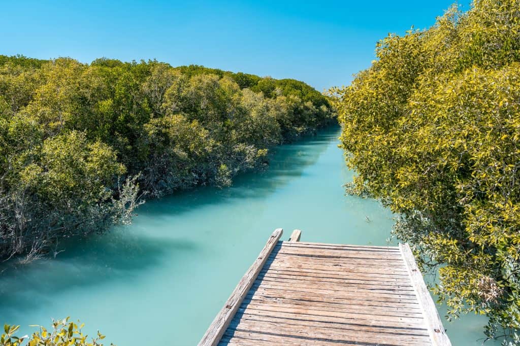 Streeter's Jetty