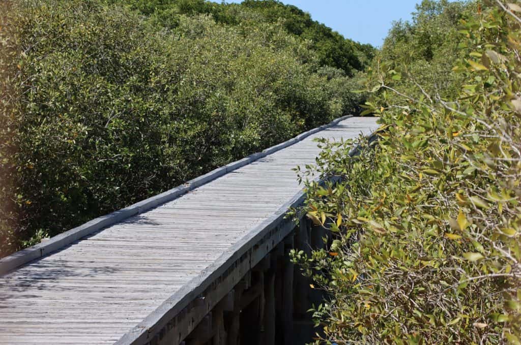 Streeter's Jetty