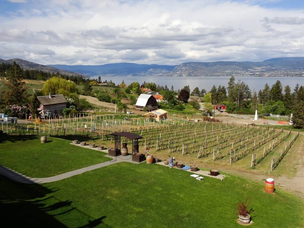 Summerhill Pyramid Winery