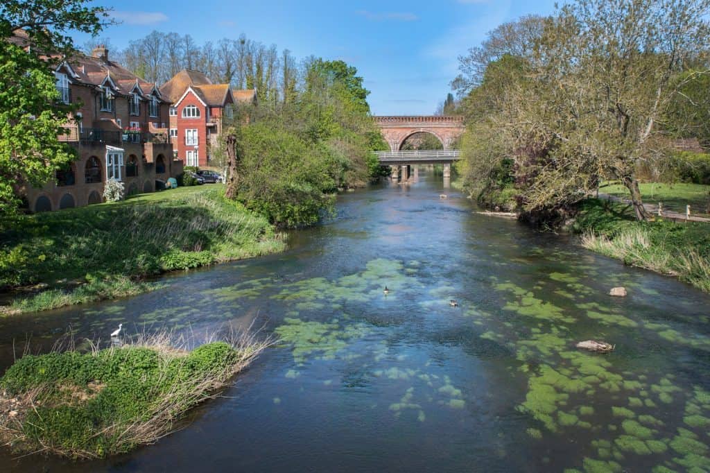 Surrey
