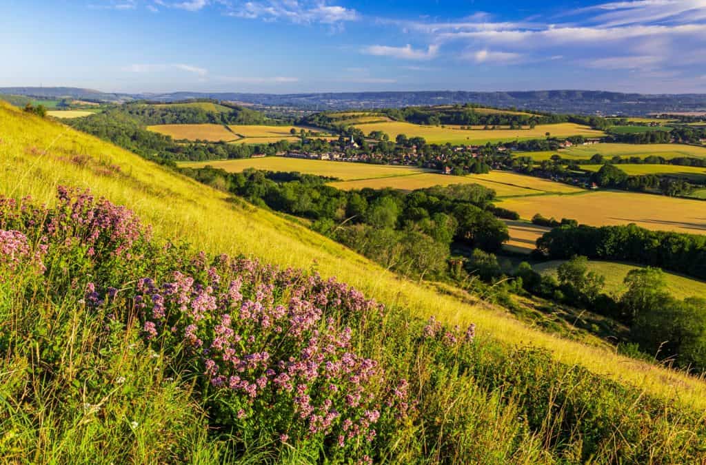 Sussex