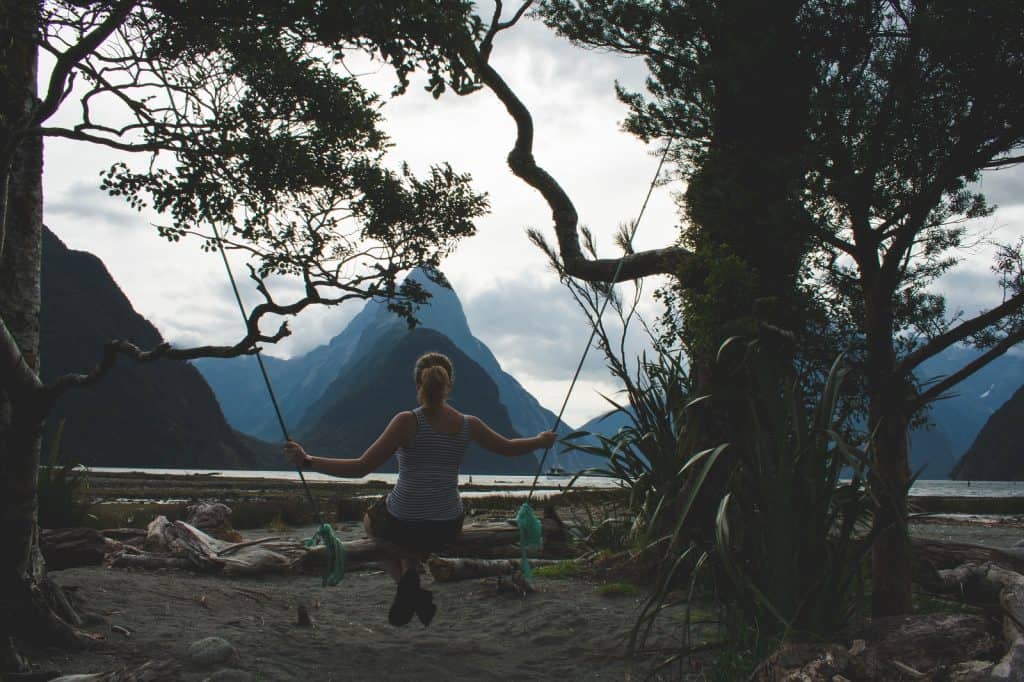 Milford Sound Swing
