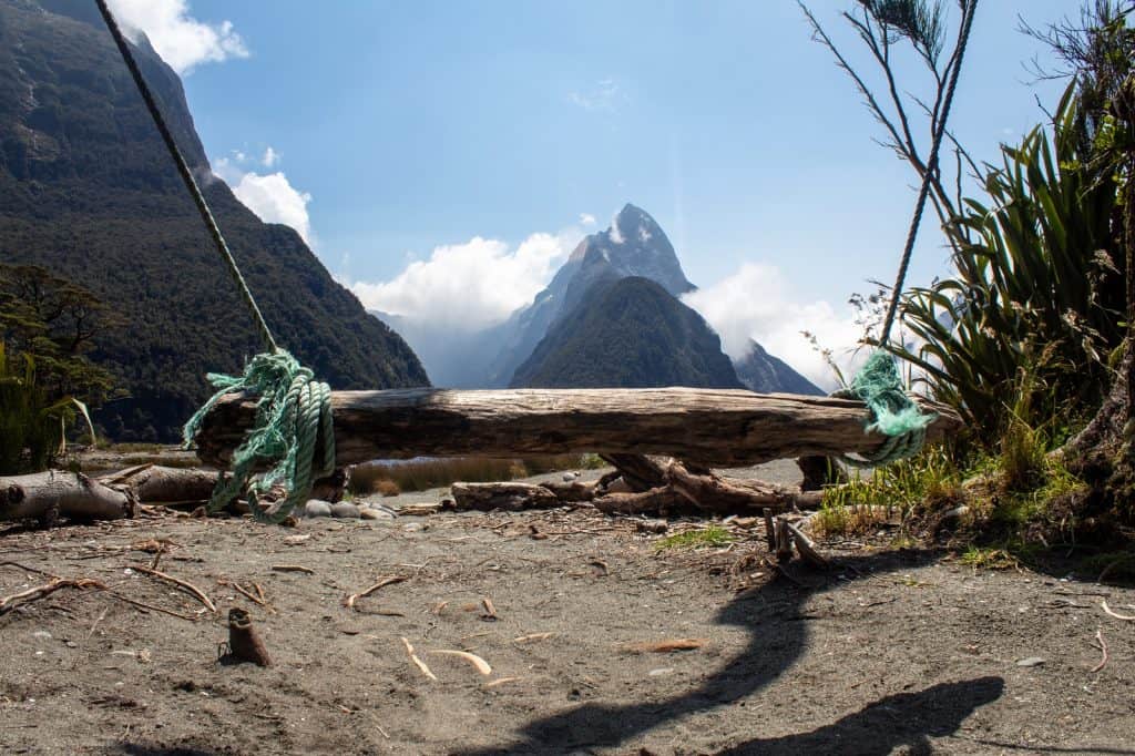 Milford Sound Swing