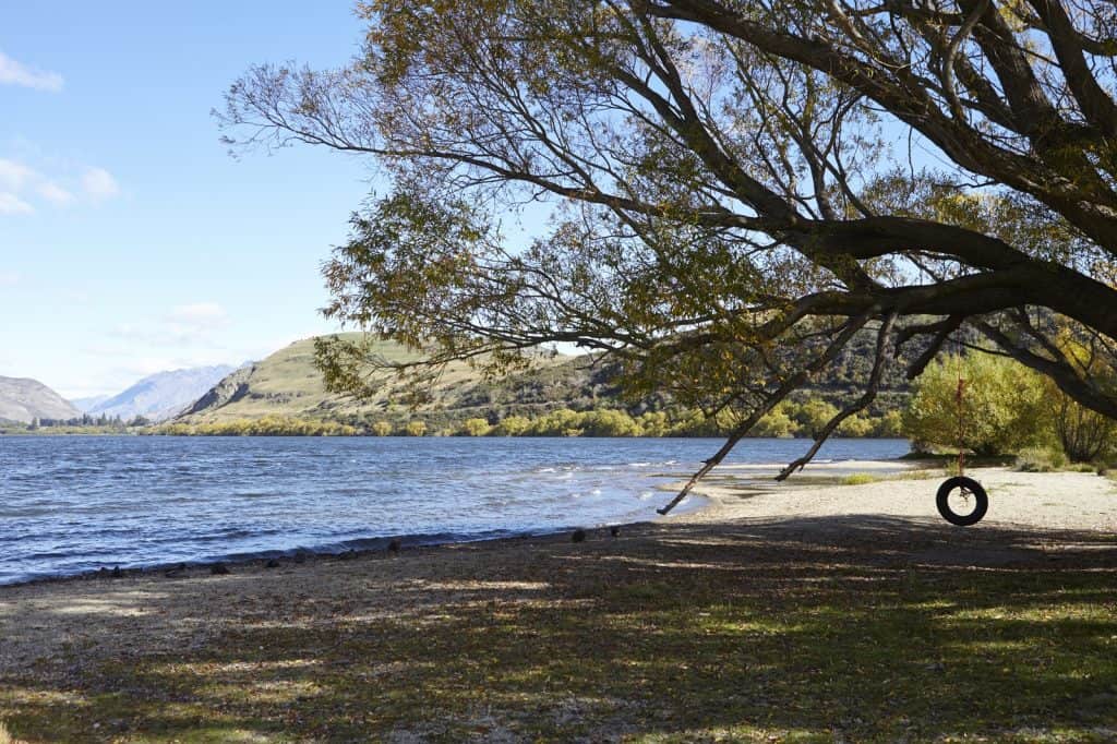 Milford Sound Swing