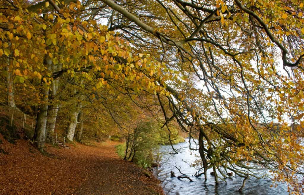 Talkin Tarn Country Park