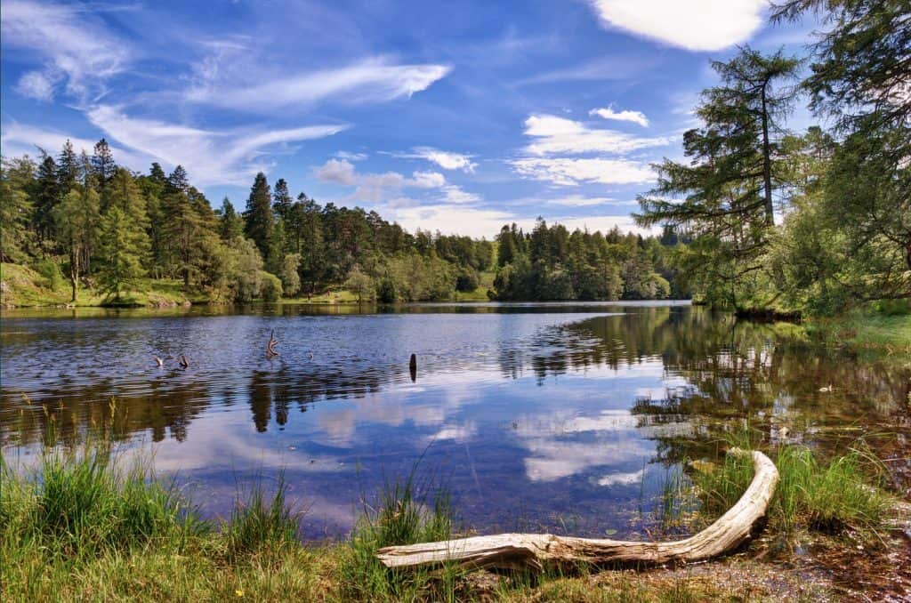 Lago Tarn Hows