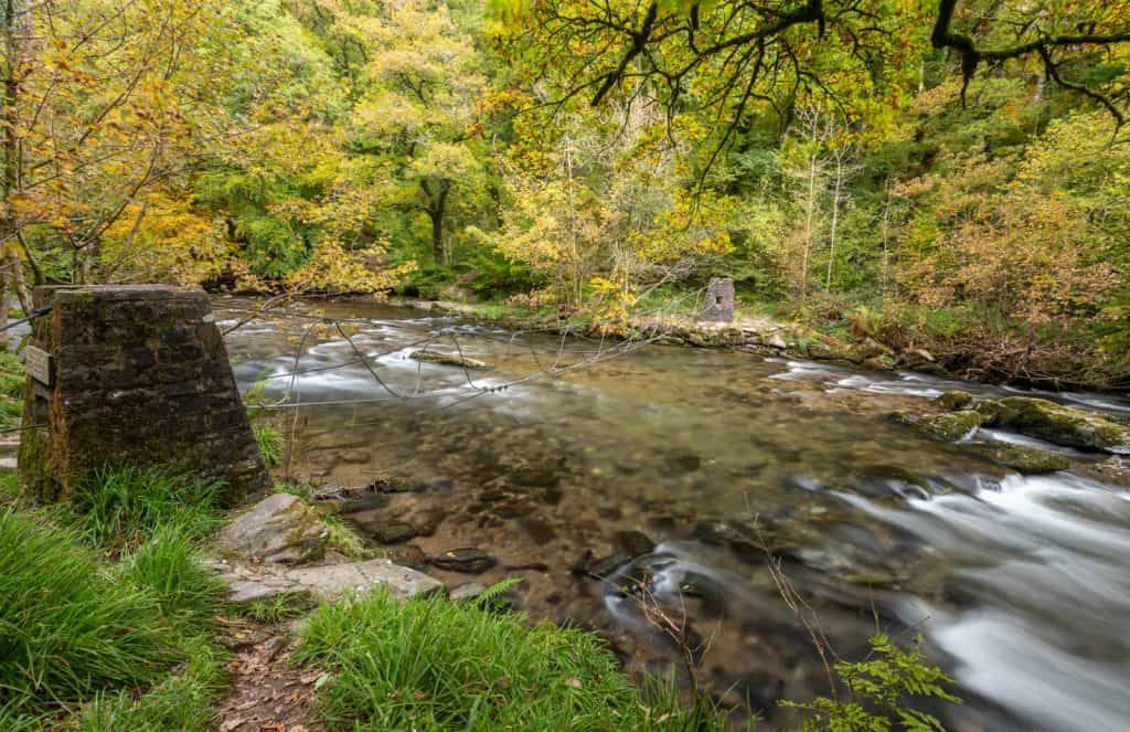 Tarr Steps Woodland
