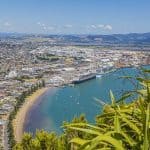 Terminal - Tauranga
