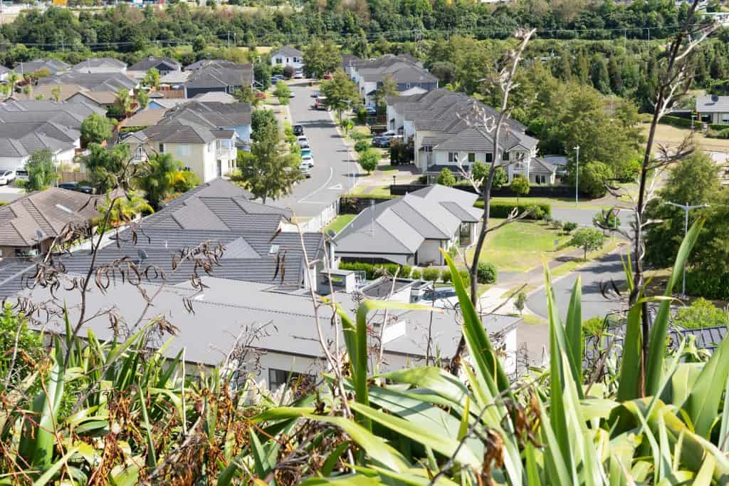 Tauranga, vista