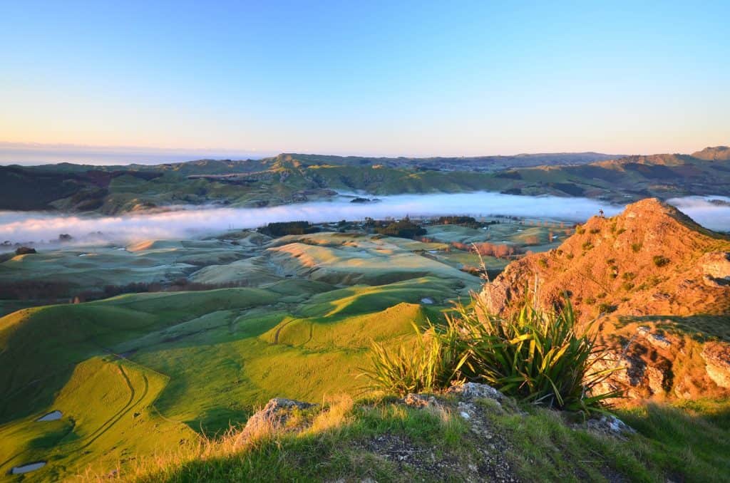 Te Mata Peak