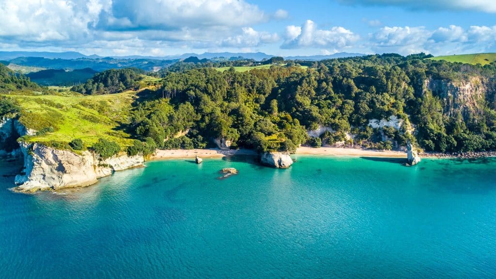 The Coromandel