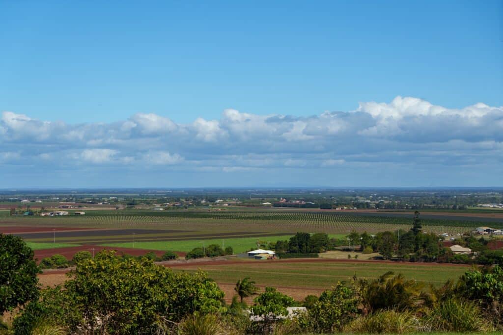 Mirador Hummock