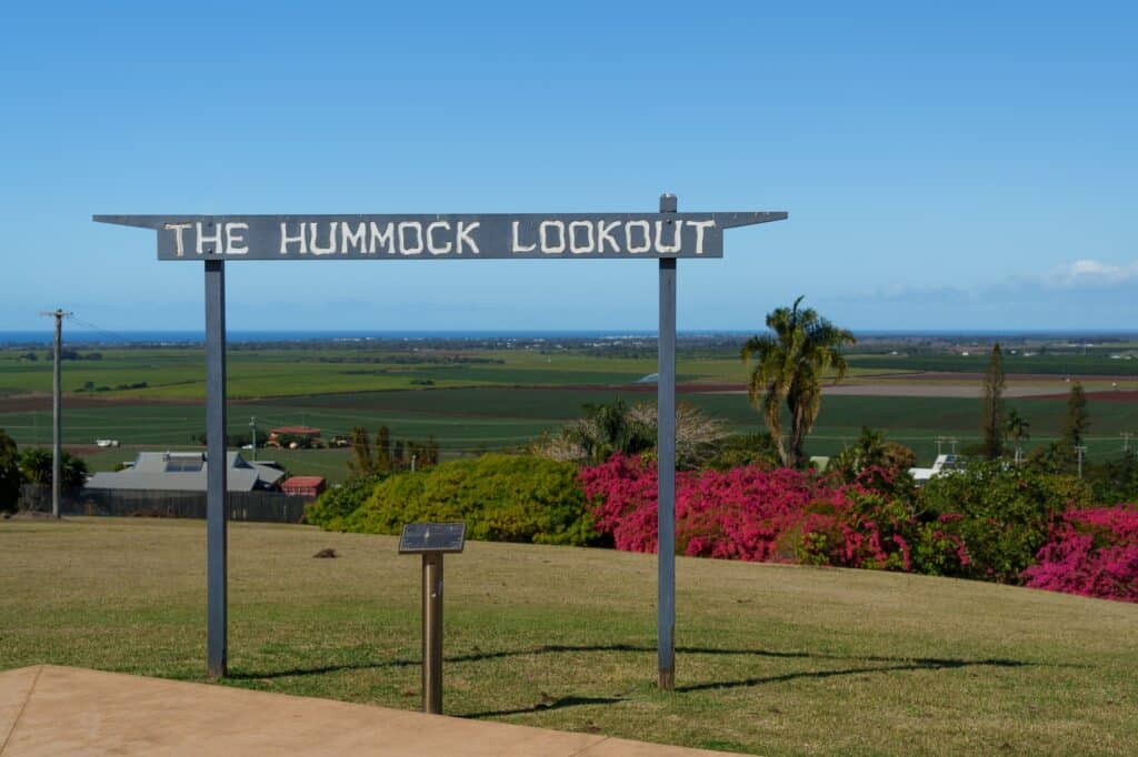 Mirador Hummock