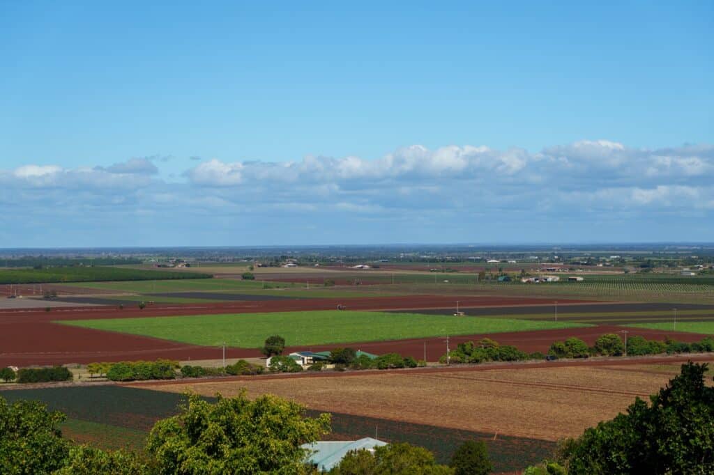 Mirador Hummock