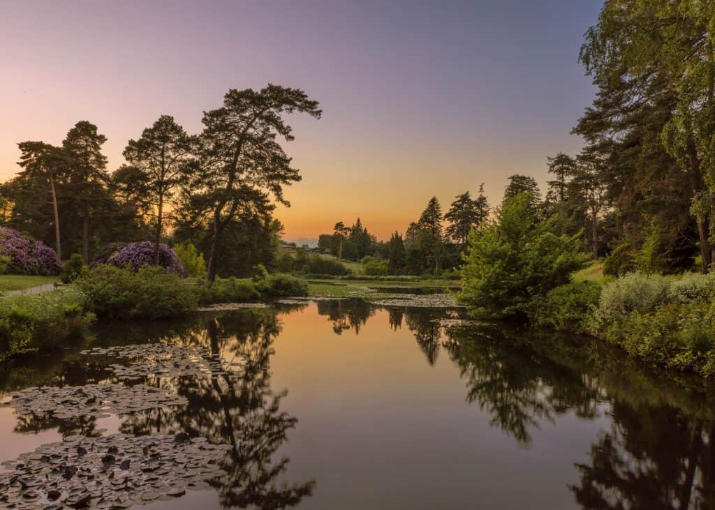 The National Pinetum Bedgebury