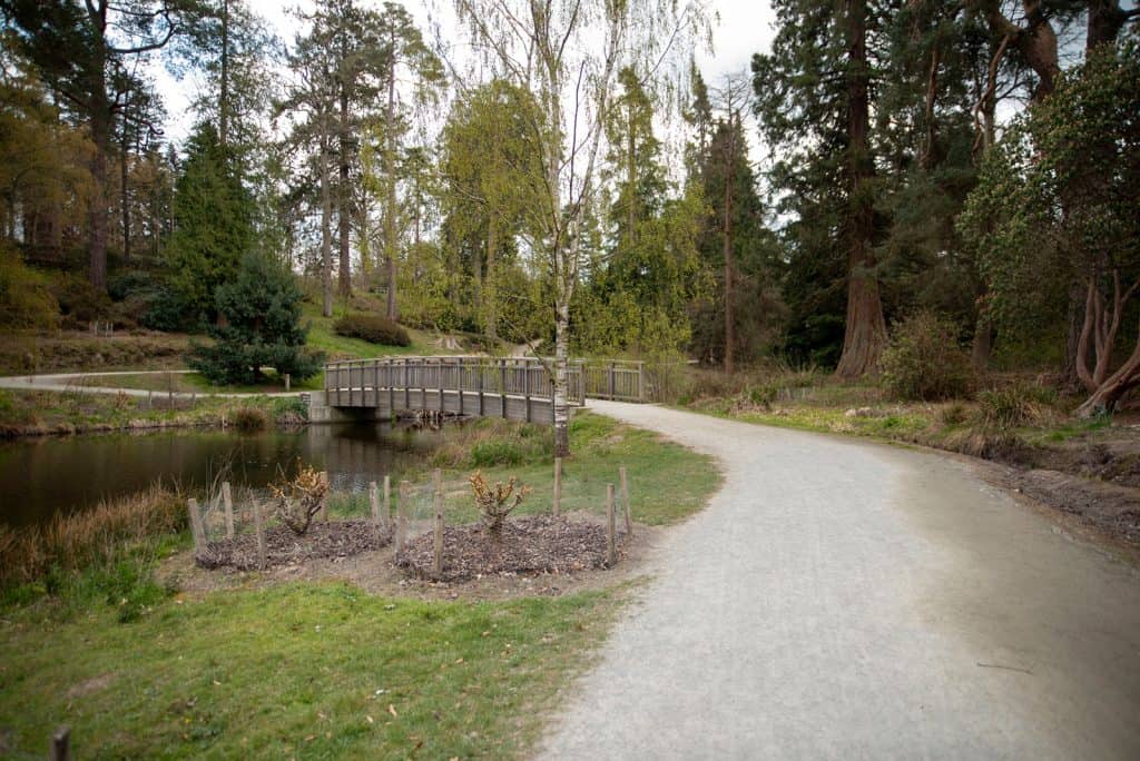 The National Pinetum Bedgebury