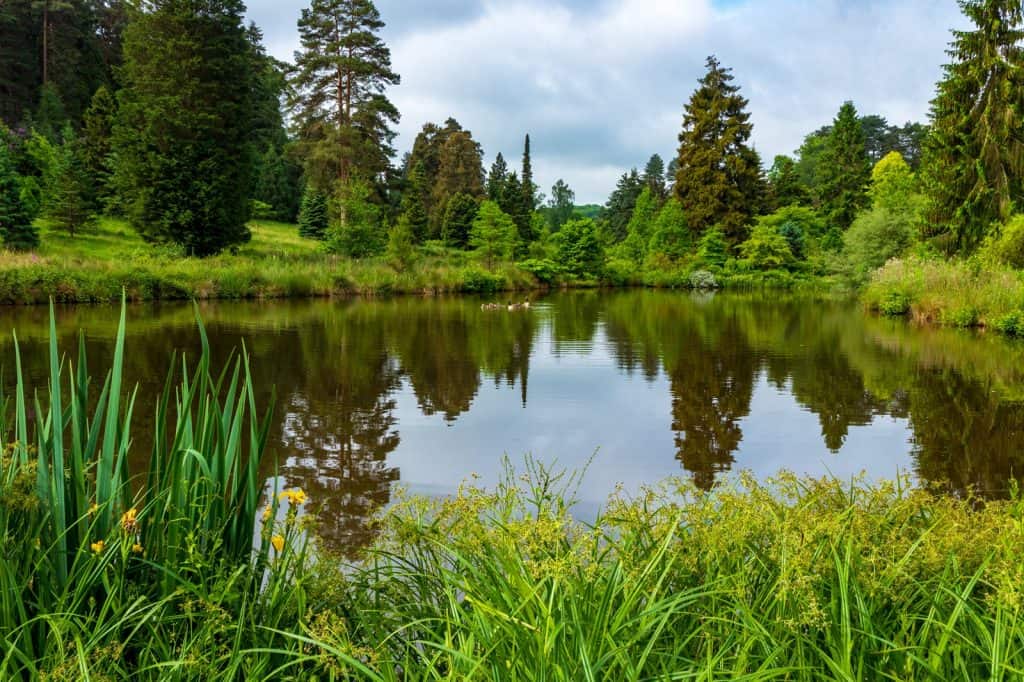 The National Pinetum Bedgebury