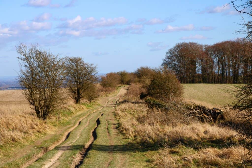 The Ridgeway