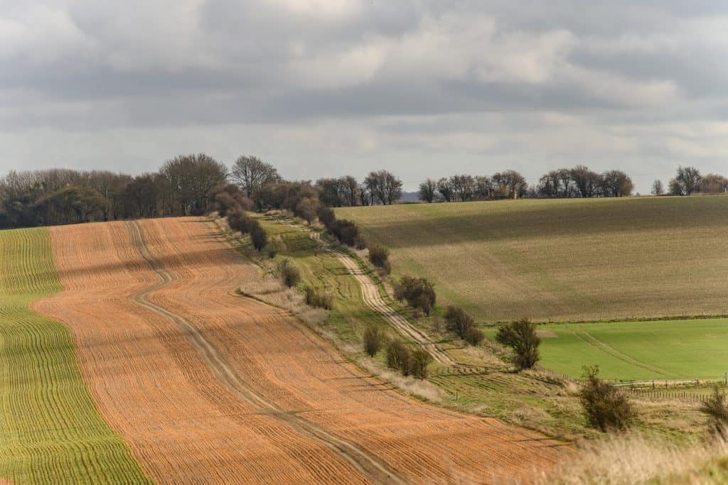 The Ridgeway