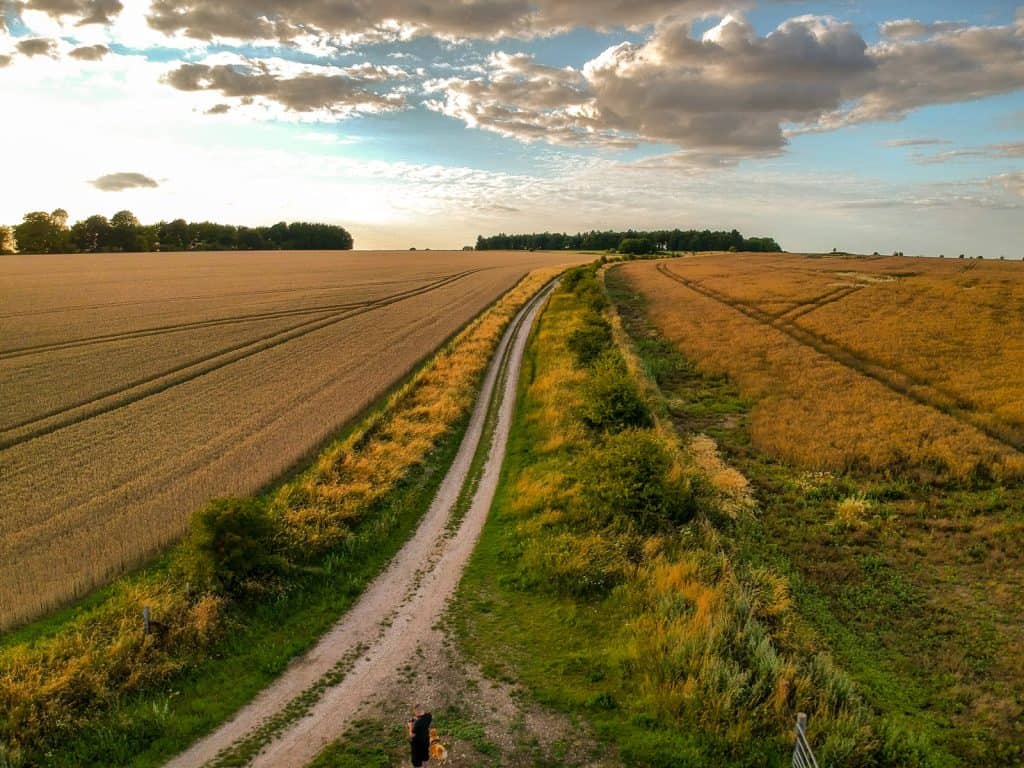 The Ridgeway