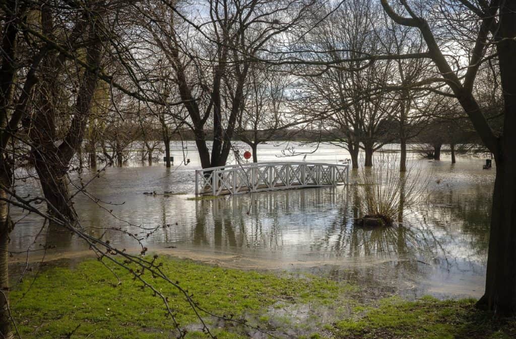 The Riverside Park
