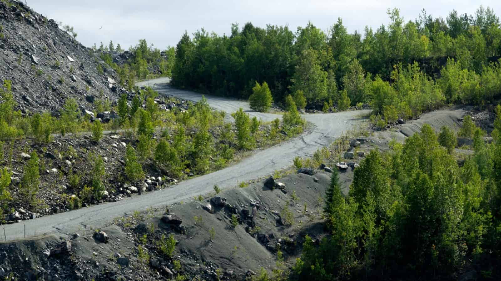 Cégep de Thetford
