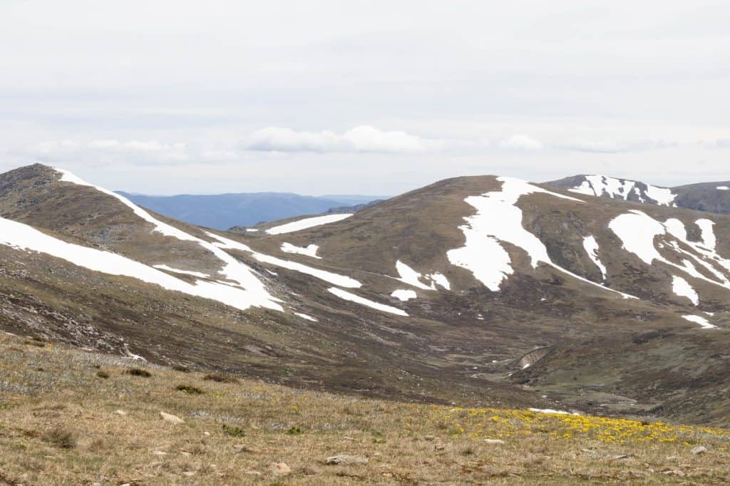 Thredbo