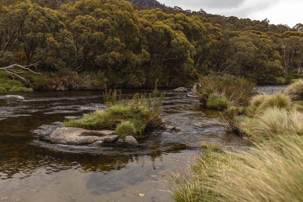 Thredbo