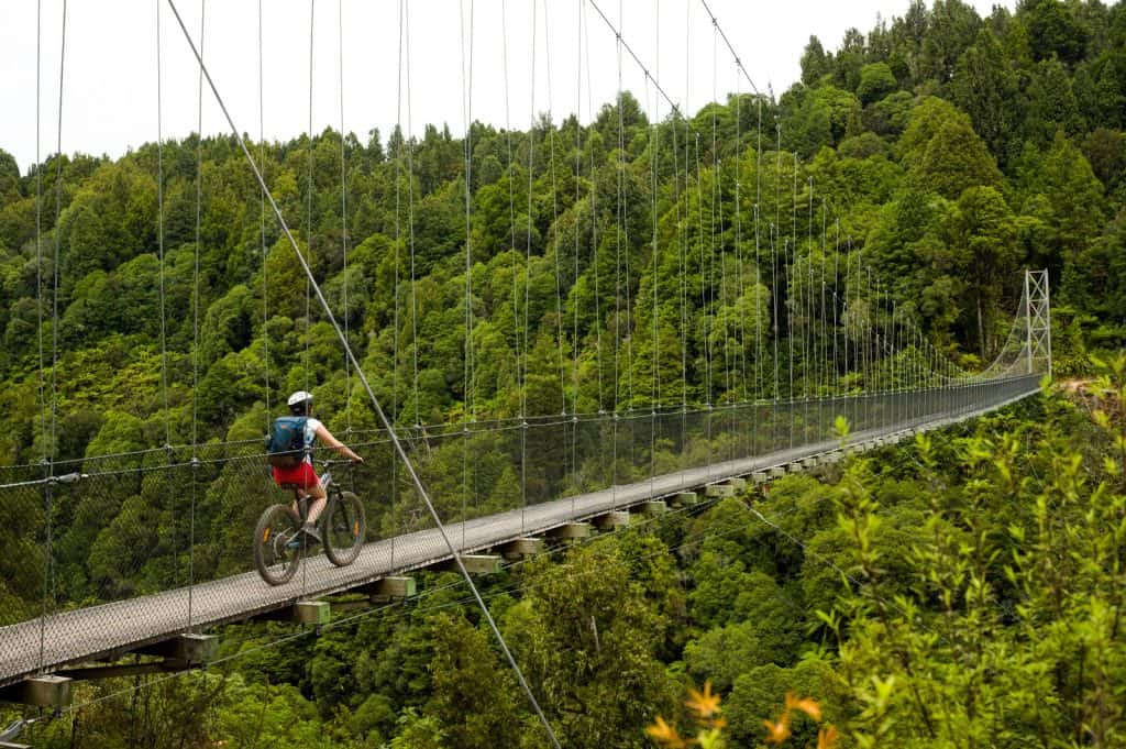 Timber Trail
