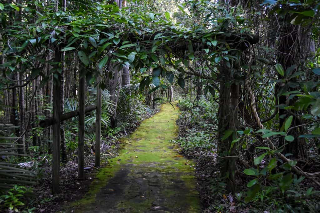 Jardín Botánico de Tondoon