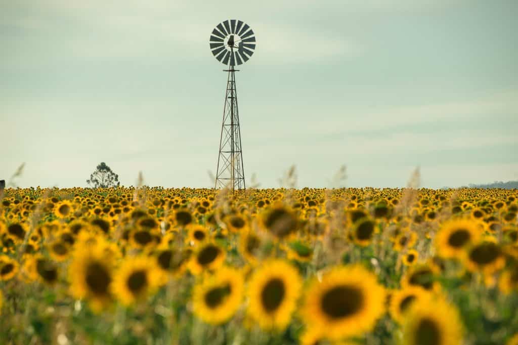 Toowoomba