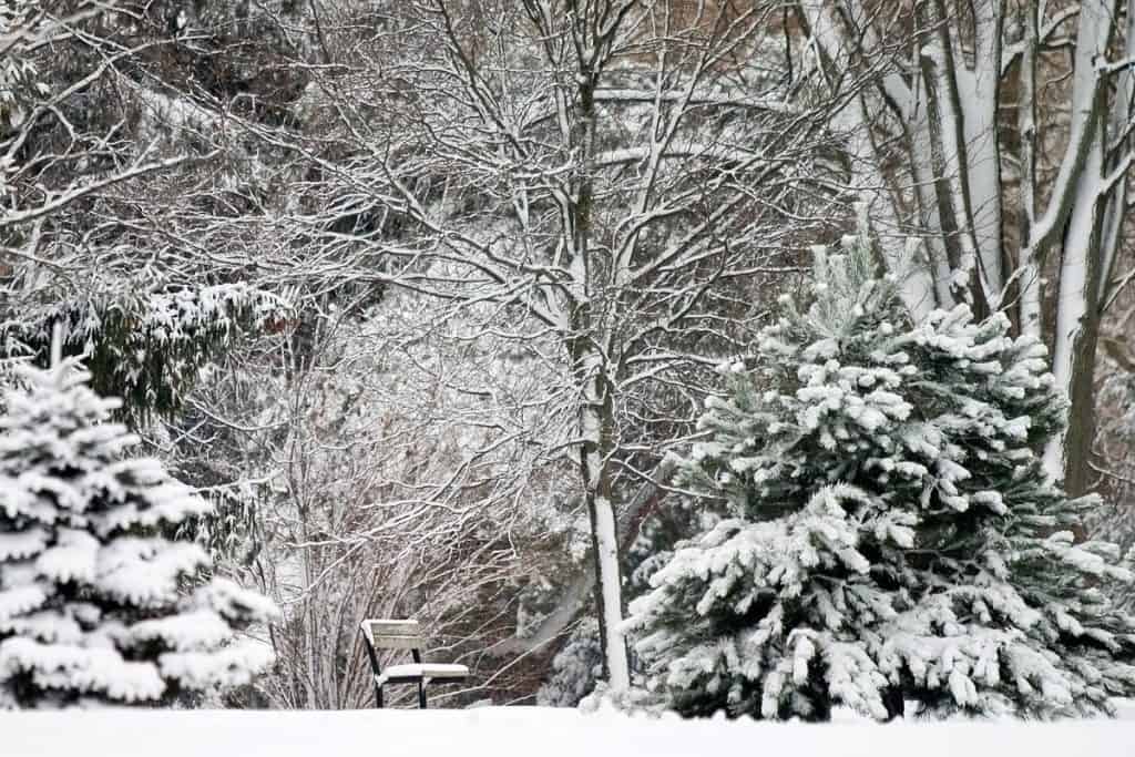 Trails, London, Ontario, Canada