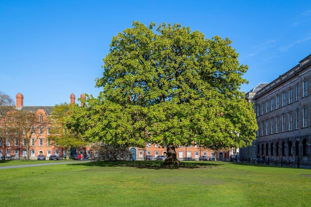 Trinity College