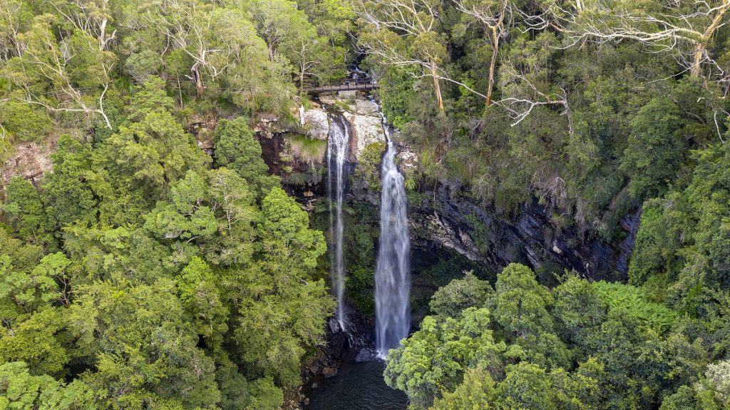 Twin Falls, Springbrook Parque Natural