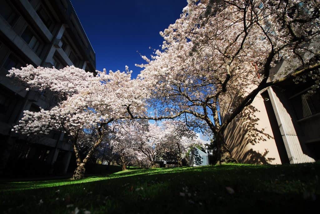 Universidad de Canterbury