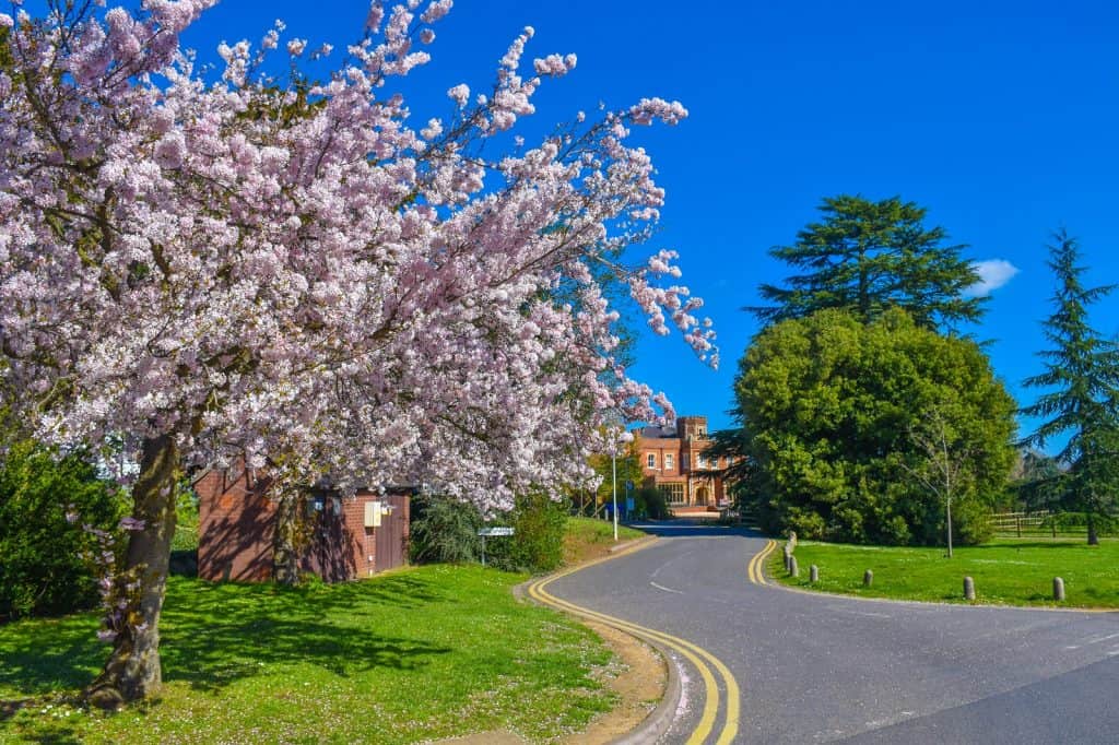 Universidad de Reading