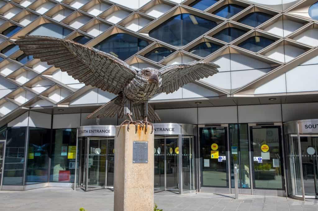Universidad de Sheffield