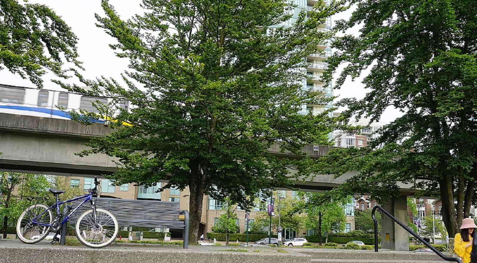 St. George International College