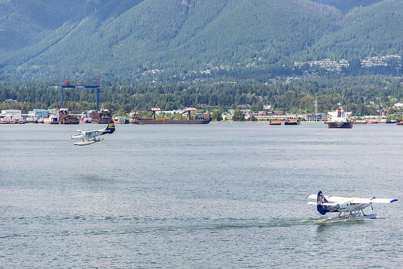 Arbutus College