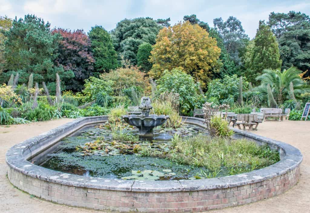 Jardín Botánico de Ventnor