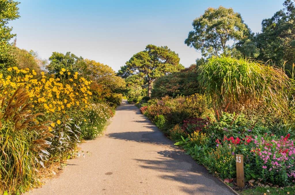 Jardín Botánico de Ventnor