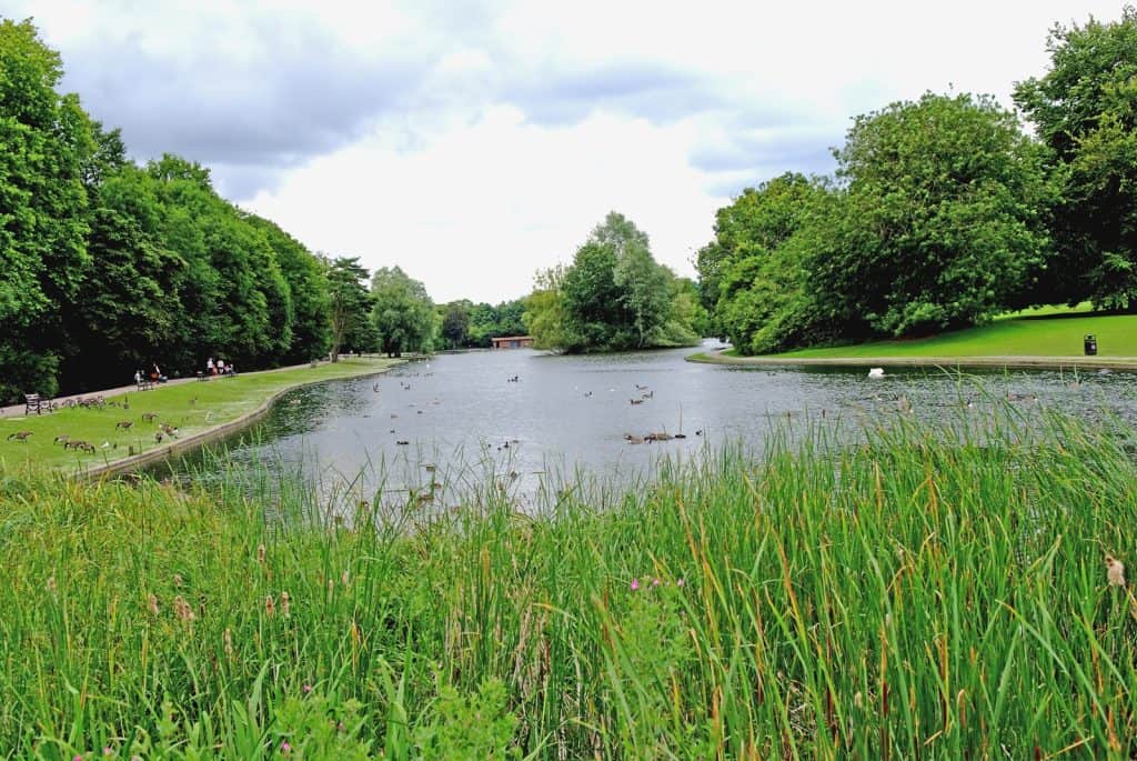 Verulamium Park