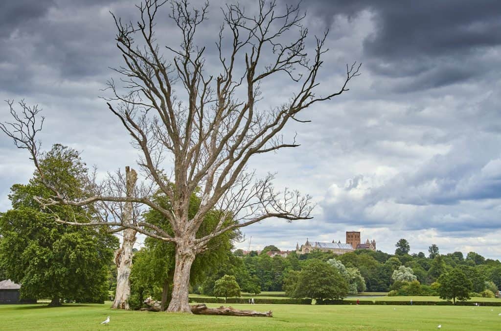 Verulamium Park