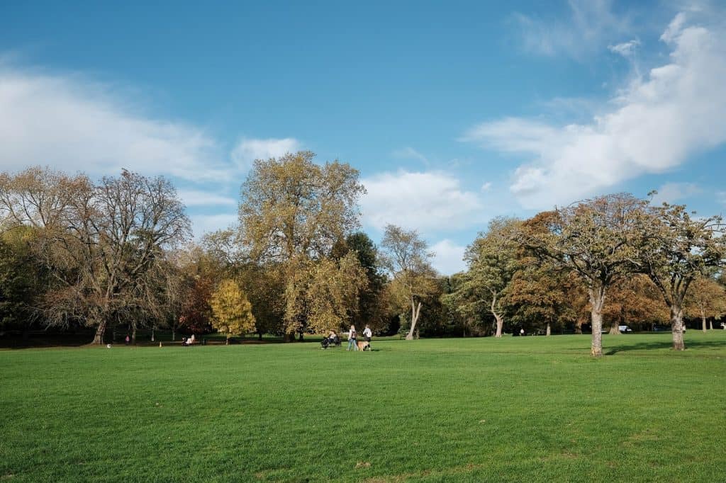 Parque Victoria