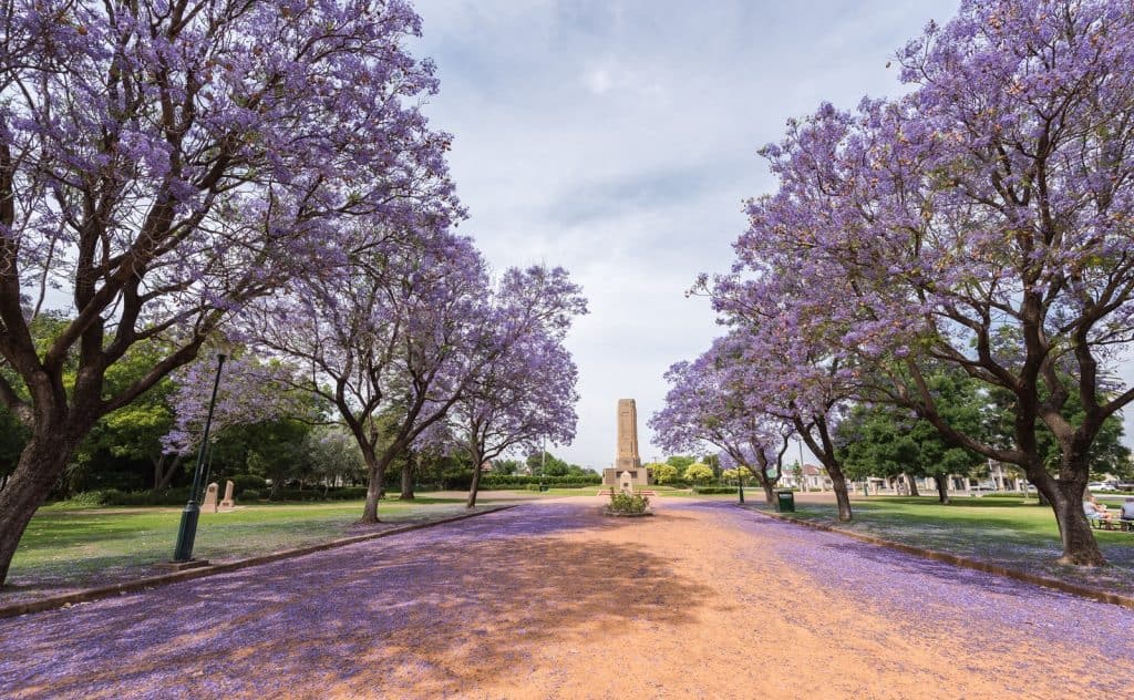Parque Victoria